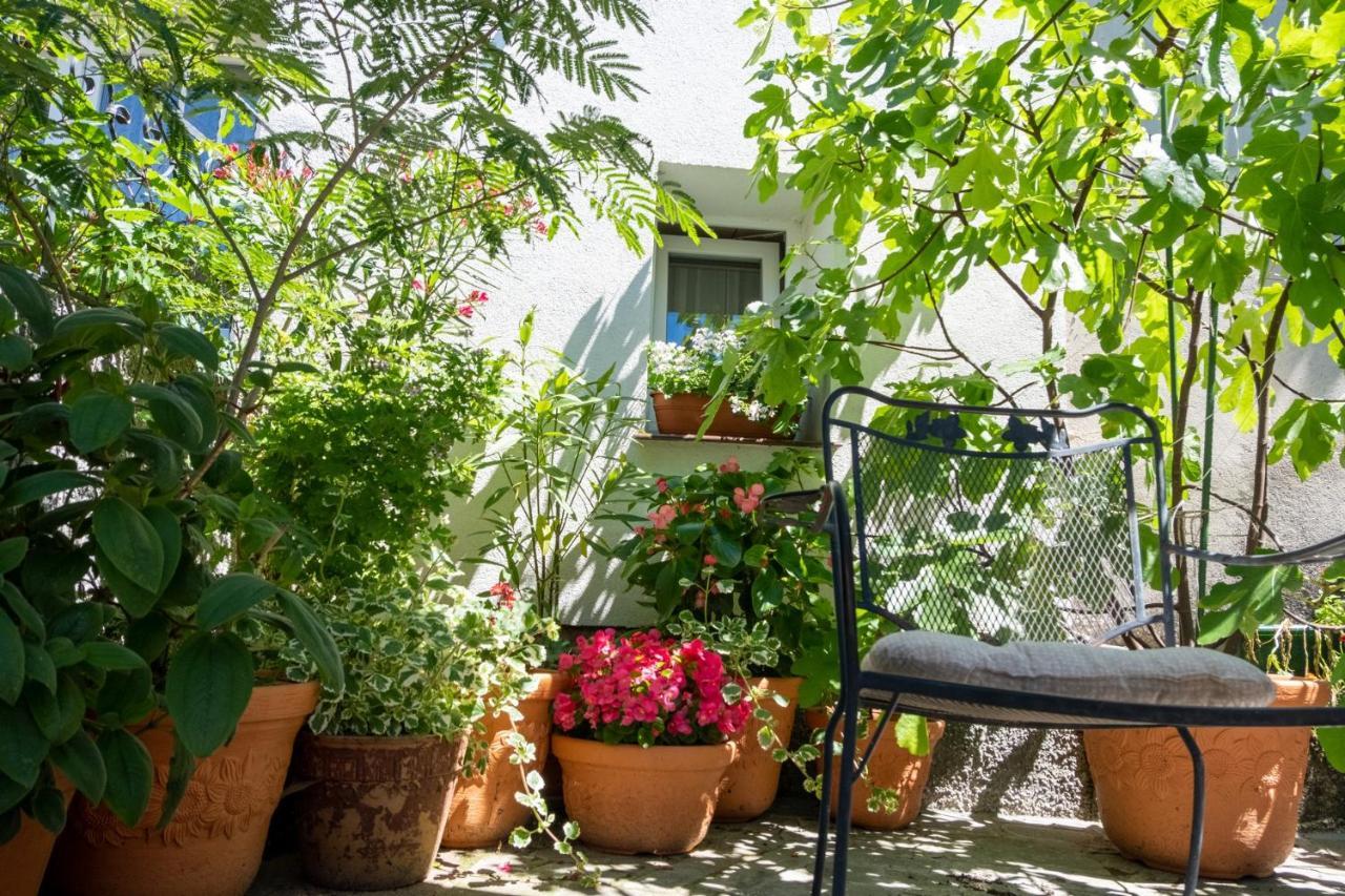 Agroturystyka Ranczo 拉德库夫 外观 照片
